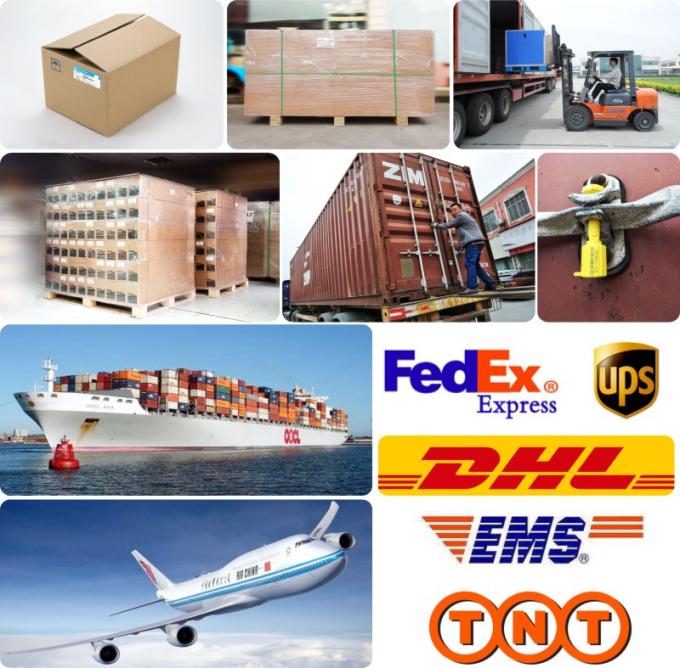 DE08 D1146 กระปุกหัวกระบอกสําหรับรถบรรทุกรถขุด 65.03901-0070 400603-00119 65.03901-0058 18